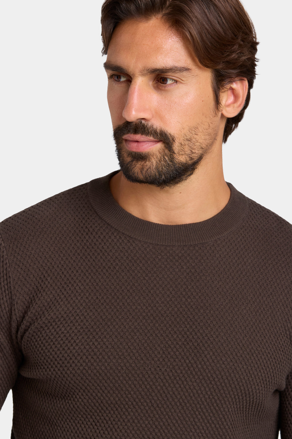 THE FABIO CREWNECK SWEATER